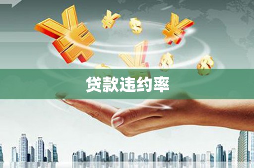 北辰贷款违约率