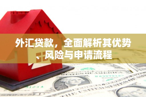 北辰外汇贷款，全面解析其优势、风险与申请流程
