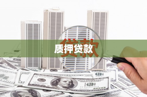北辰质押贷款