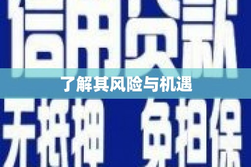 北辰了解其风险与机遇
