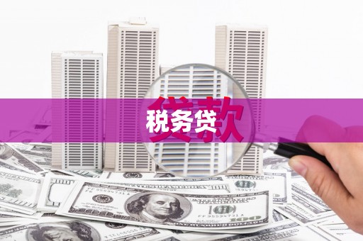 北辰税务贷