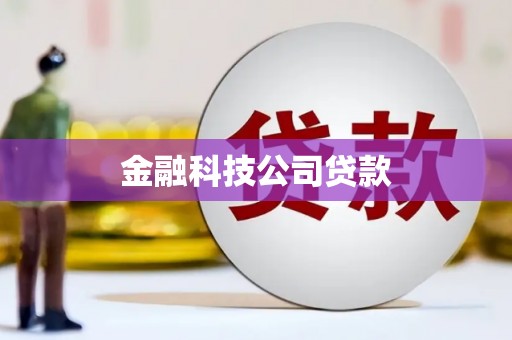 北辰金融科技公司贷款