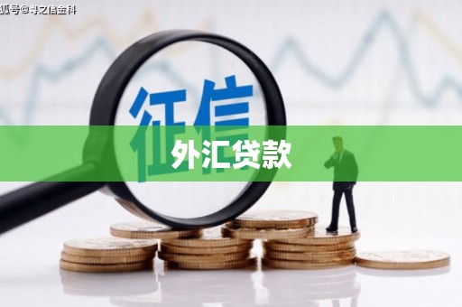 北辰外汇贷款