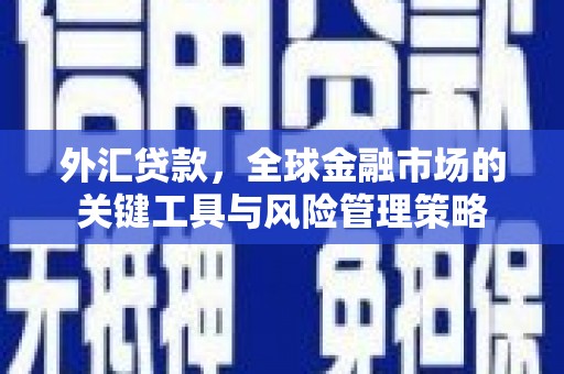 北辰外汇贷款，全球金融市场的关键工具与风险管理策略