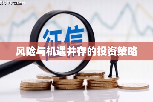 北辰风险与机遇并存的投资策略