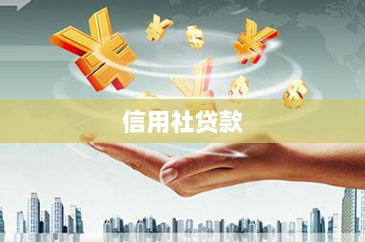 北辰信用社贷款
