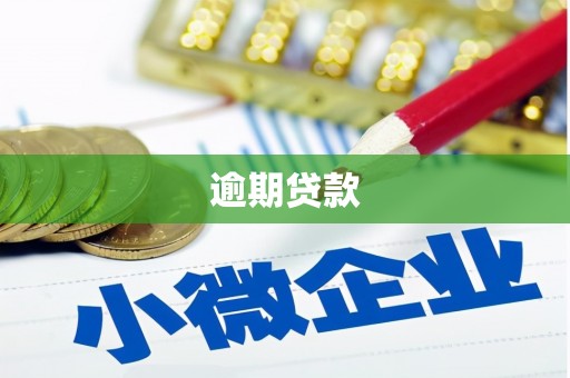 北辰逾期贷款