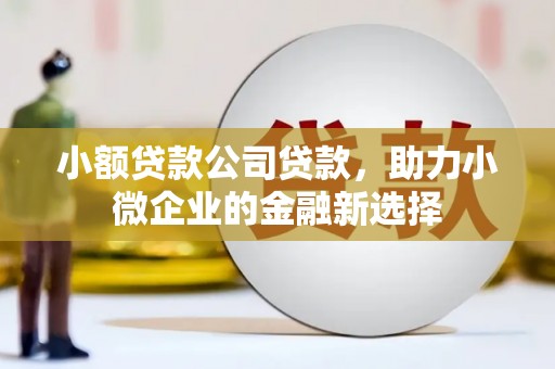北辰小额贷款公司贷款，助力小微企业的金融新选择