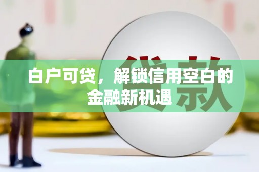 北辰白户可贷，解锁信用空白的金融新机遇