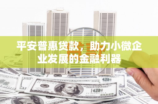 北辰平安普惠贷款，助力小微企业发展的金融利器