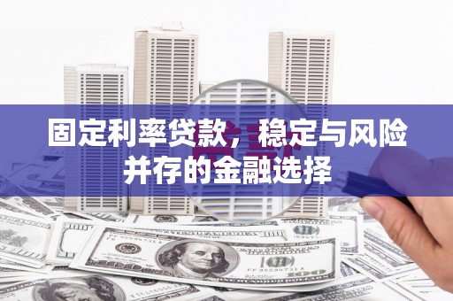 北辰固定利率贷款，稳定与风险并存的金融选择