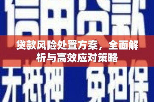 北辰贷款风险处置方案，全面解析与高效应对策略