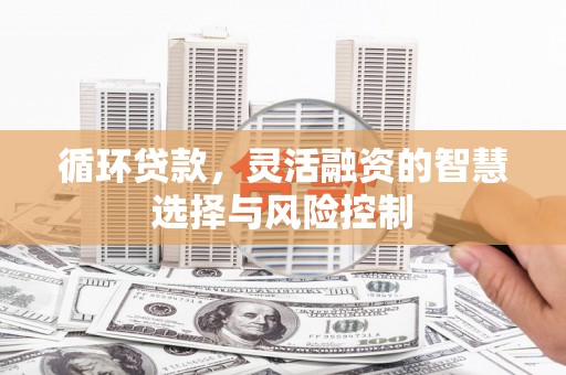 北辰循环贷款，灵活融资的智慧选择与风险控制