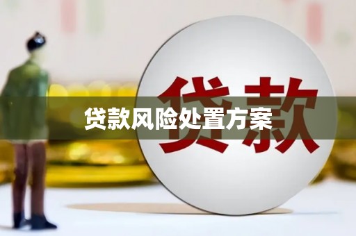 北辰贷款风险处置方案