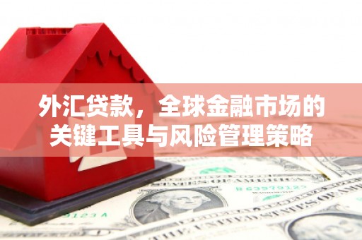 北辰外汇贷款，全球金融市场的关键工具与风险管理策略