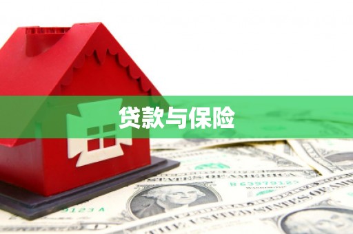 北辰贷款与保险