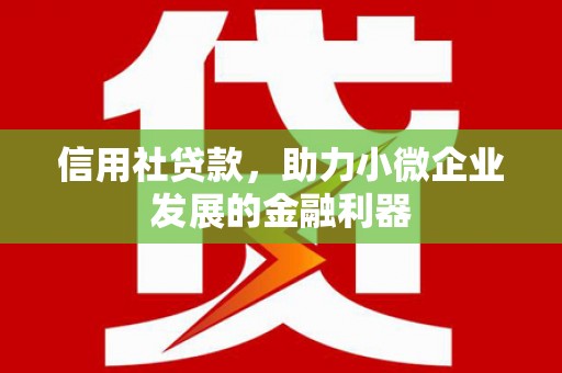 北辰信用社贷款，助力小微企业发展的金融利器