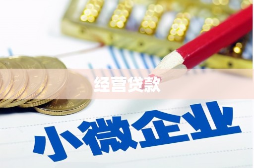 北辰经营贷款