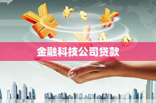 北辰金融科技公司贷款