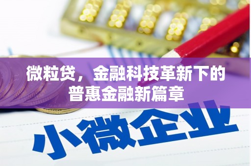 北辰微粒贷，金融科技革新下的普惠金融新篇章