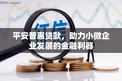 北辰平安普惠贷款，助力小微企业发展的金融利器