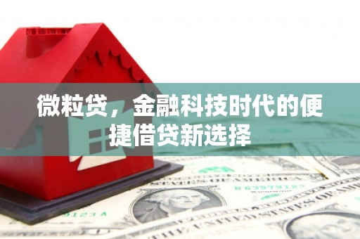 北辰微粒贷，金融科技时代的便捷借贷新选择